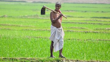 agricultor agricultura