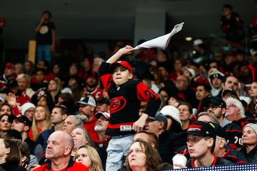 This is the NHL’s surprisingly different revenue model that sets it apart from the NFL, NBA or MLB