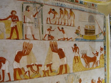 mural egipcio egipto agricultura ganaderia